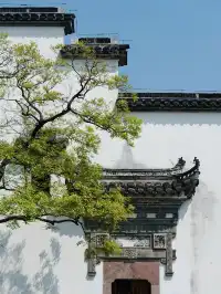 為了這10個絕美機位，必須來趟廣富林！！