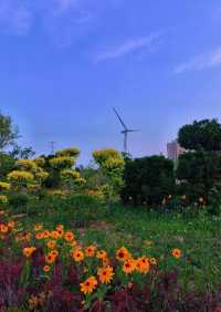 大連泊霞灣公園：藏在渤海之濱的彩虹與落日秘境