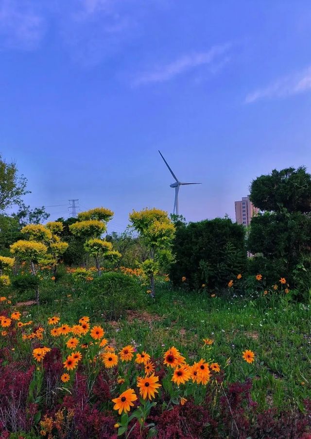 大連泊霞灣公園：藏在渤海之濱的彩虹與落日秘境