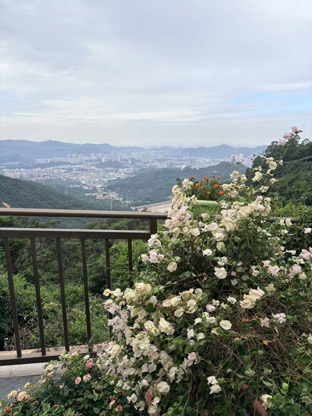 東莞觀音山|全球最大漢白玉觀音!附隱藏機位 東莞觀音山|全球最大漢白玉觀音!附隱藏機位