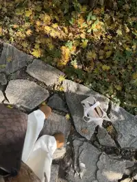 泰安周邊秋色漸濃處