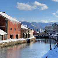 ❄️홋카이도의 눈, 하늘에서 내린 솜사탕