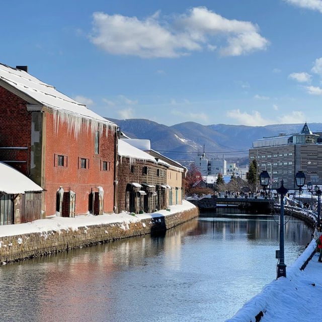 ❄️홋카이도의 눈, 하늘에서 내린 솜사탕