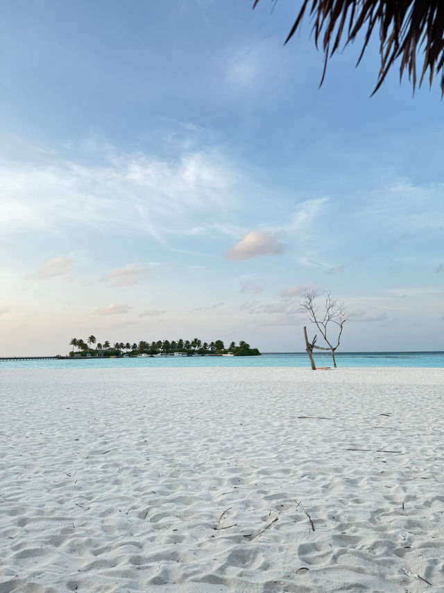 An Unforgettable Honeymoon Experience An Unforgettable Honeymoon Experience