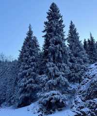 天山深處的綠寶石:烏魯木齊南山牧場一日漫記