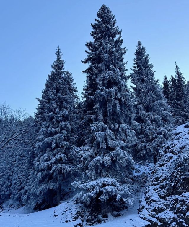 天山深處的綠寶石:烏魯木齊南山牧場一日漫記 天山深處的綠寶石:烏魯木齊南山牧場一日漫記