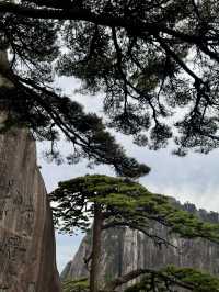🇨🇳중국여행 가을에 등산하기 좋은 황산🏞️