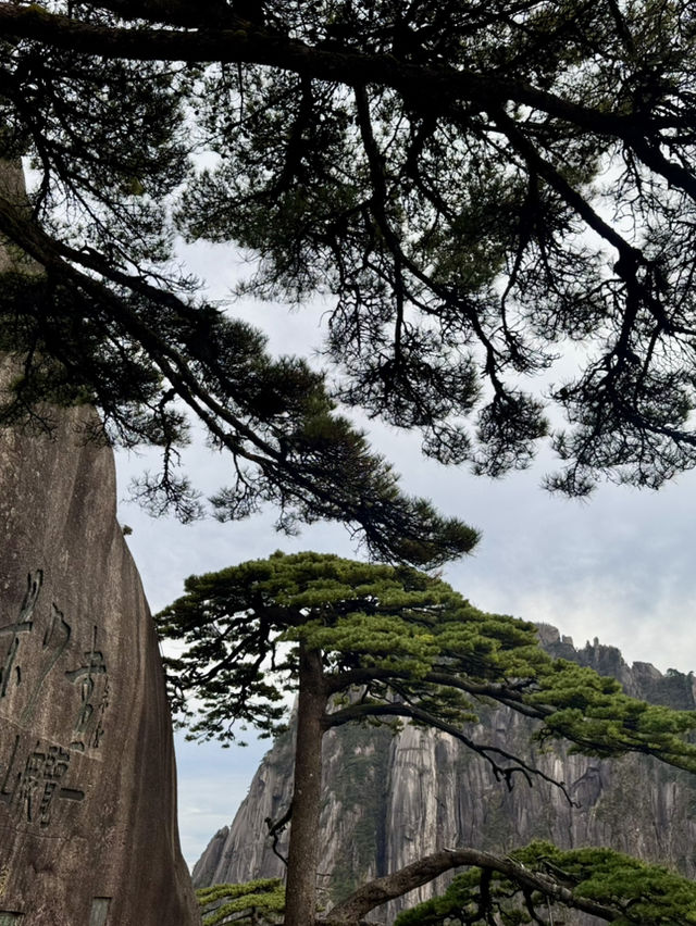🇨🇳중국여행 가을에 등산하기 좋은 황산🏞️ 🇨🇳중국여행 가을에 등산하기 좋은 황산🏞️
