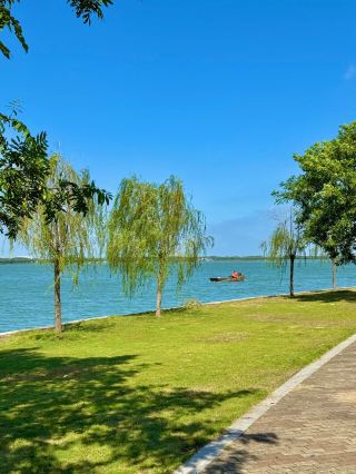 My favorite road in Suzhou during autumn!!