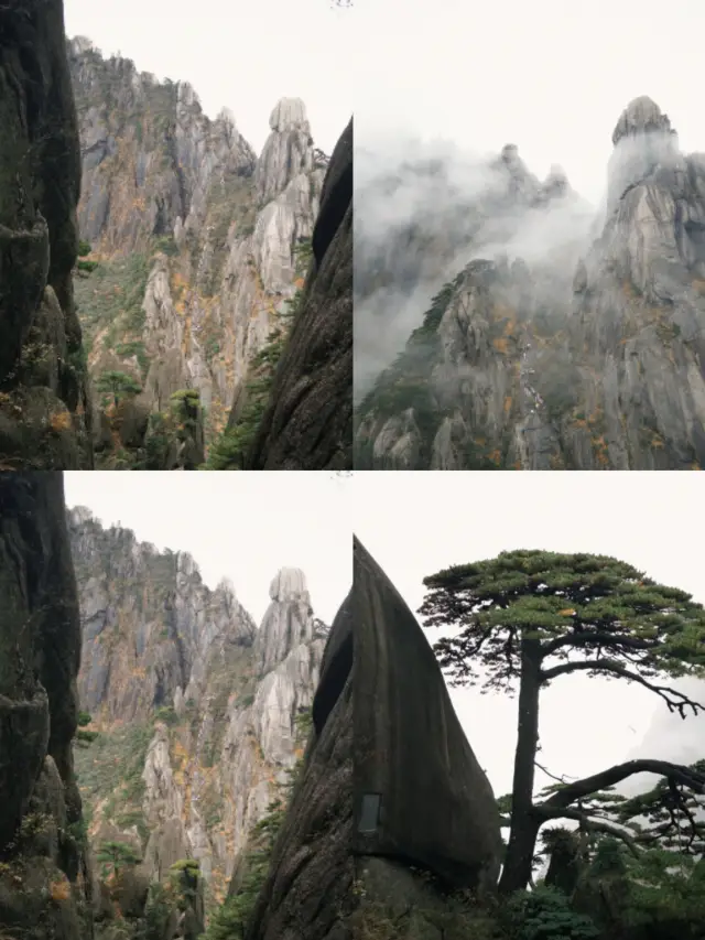 徒步登黃山!兩天一夜超詳細無纜車攻略