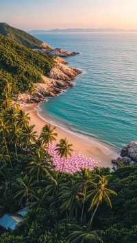 北麂島避世全攻略