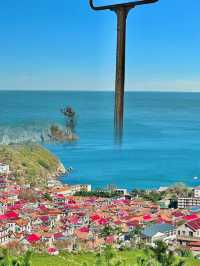 青島1元環海公交yyds！沿途海景美翻天