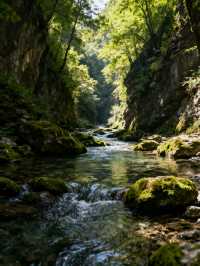 商洛3日遊 | 金絲峽與柞水溶洞經典組合・全人群適配攻略