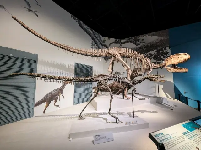 A Hidden Gem: Chengdu's and Sichuan's Journey Through Time