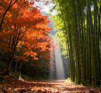 乘上復古小火車，闖入南國油畫世界！