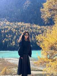 新疆喀納斯秋日童話遇見雪山松鼠的治癒時刻