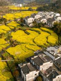 江西婺源：春到篁嶺曬秋忙，梯田花海與徽派古村撞出詩意