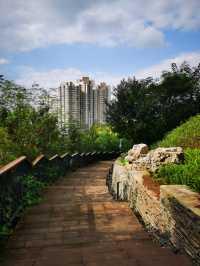 雨過天晴的自貢鳶山公園
