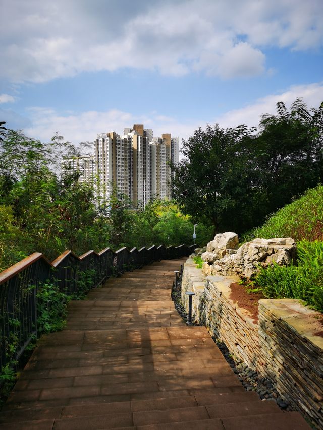 雨過天晴的自貢鳶山公園 雨過天晴的自貢鳶山公園