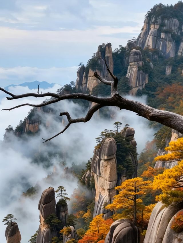 三清山秋日治癒之旅｜雲海奇峰美到窒息