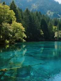 九寨溝親子童話遊！彩林海子+7天環線攻略