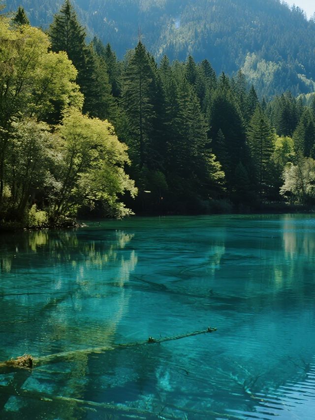 九寨溝親子童話遊！彩林海子+7天環線攻略