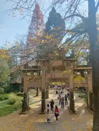 都江堰靈巖寺最容易領的獎牌