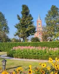 【打卡豐城愛情花卉小鎮】