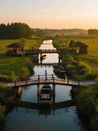 杭州灣濕地公園親子遊!詩經觀鳥+遛娃寶藏地