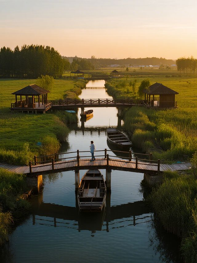 杭州灣濕地公園親子遊!詩經觀鳥+遛娃寶藏地 杭州灣濕地公園親子遊!詩經觀鳥+遛娃寶藏地