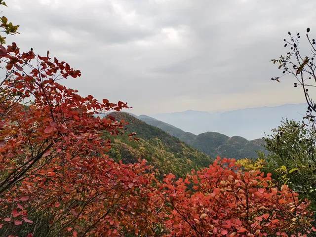 全程徒步挑戰三峽之巔(附超詳細攻略) 全程徒步挑戰三峽之巔(附超詳細攻略)