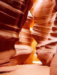 2天美國秋日遊超全攻略來襲