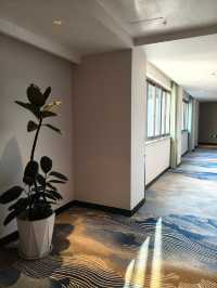 這家唐寅故居旁的園林酒店太絕了!