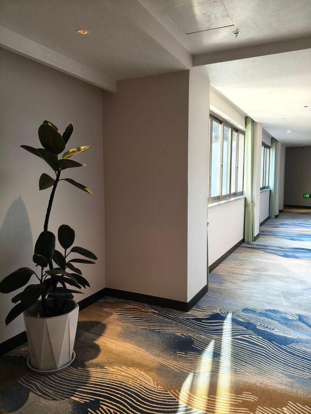 這家唐寅故居旁的園林酒店太絕了! 這家唐寅故居旁的園林酒店太絕了!