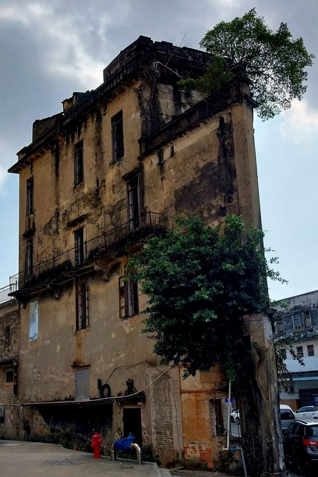 台山舊樓打卡路線