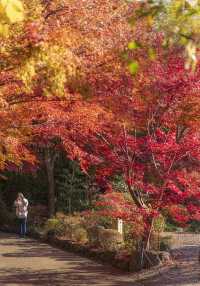 大山崎山莊美術館