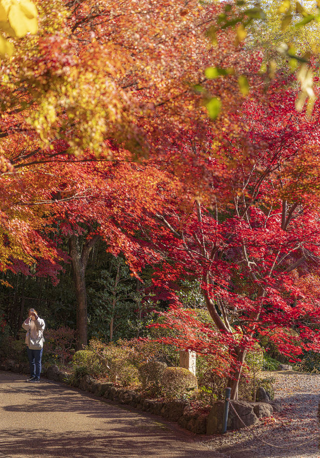 大山崎山莊美術館