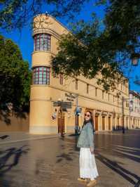 昆明限定一日遊 喂海鷗+逛老街太治癒啦