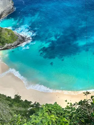 Обои как у Apple! Дикие обои Пениды