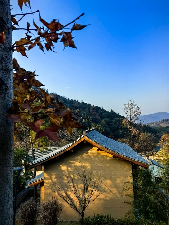 冬棲暖境,歲末安隅 冬棲暖境,歲末安隅