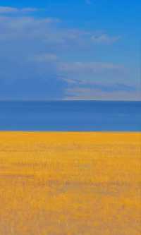 賽里木湖秋日環湖終極攻略 | 闖入一場盛大的金色夢境