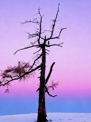 阿勒泰冬季童話全攻略闖進禾木的雪景