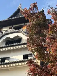 名古屋的秋東山 犬山 真的很好拍~