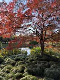 東郊秘境直出！比西郊美10倍的live級秋日畫冊