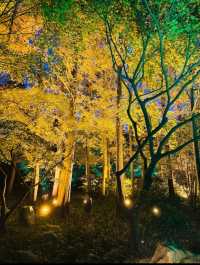 上海絕美紅葉秘境長風公園的秋天也太犯規了吧！