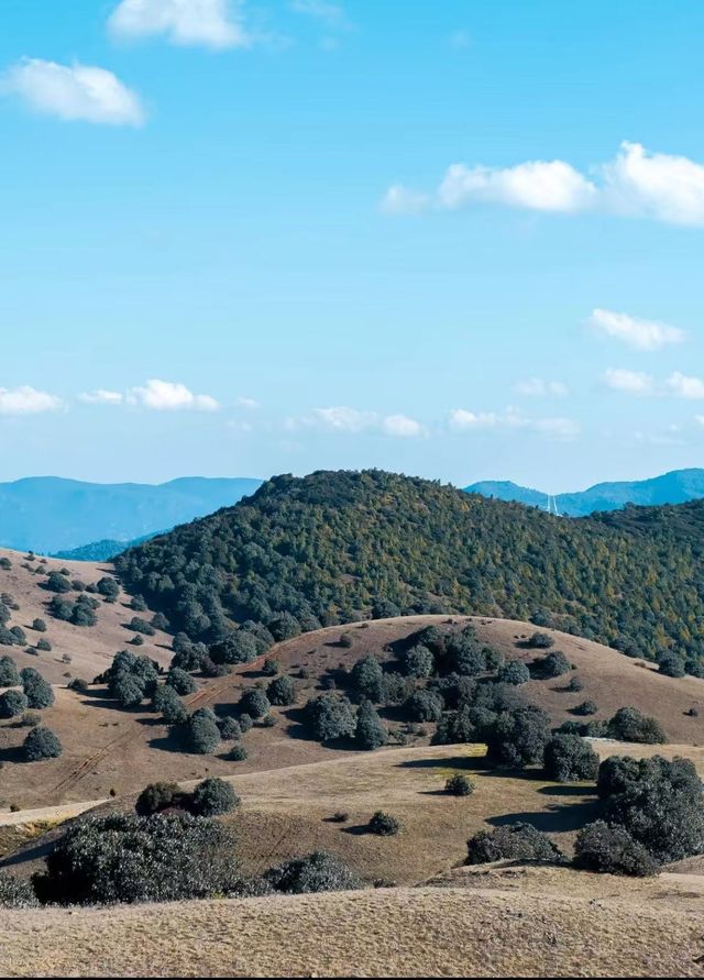 大理風車山!闖進童話牧場 大理風車山!闖進童話牧場