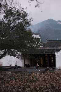 沒拍到李現視角，卻收穫了同款胃滿足～