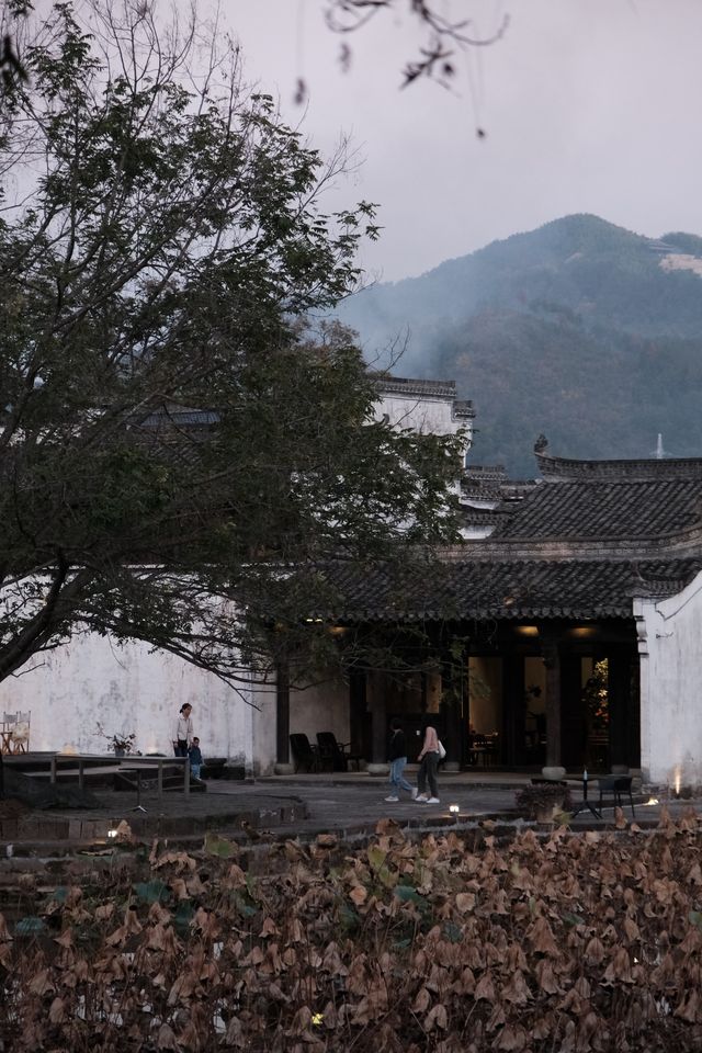 沒拍到李現視角，卻收穫了同款胃滿足～