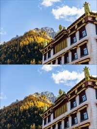 稻城亞丁|沖古寺和神秘的經幡森林