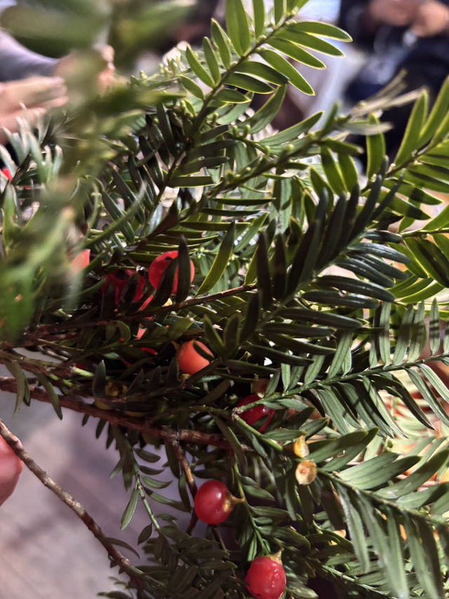 大利侗寨一日遊 大利侗寨一日遊